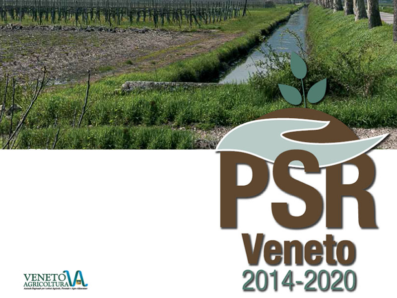 psr-veneto